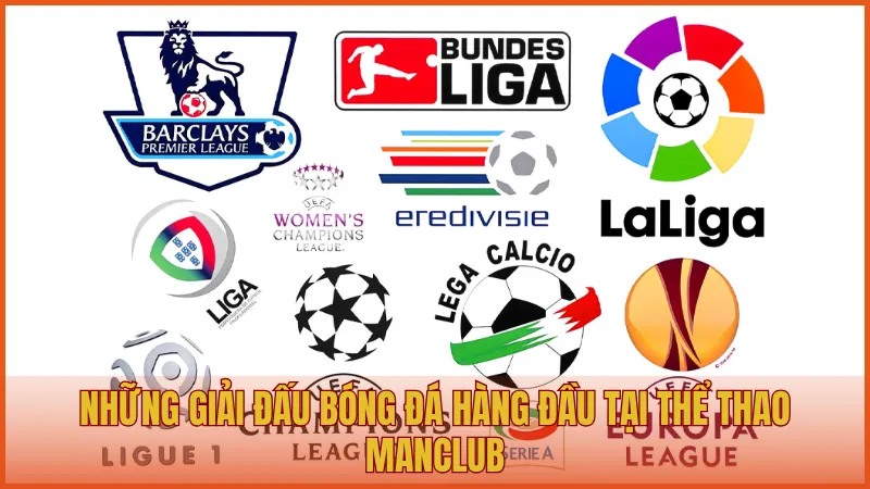 Thể thao ManClub – Trải nghiệm cuồng nhiệt trên mọi giải đấu 3 Những giải đấu bóng đá hàng đầu tại thể thao ManClub