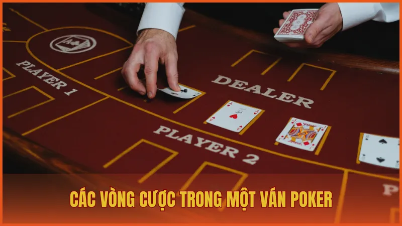 Hướng dẫn luật chơi Poker Manclub đầy đủ cho người mới 4 Hướng dẫn chi tiết các vòng cược trong một ván Poker